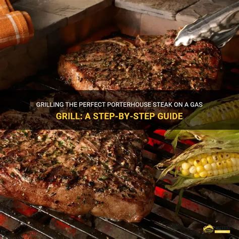how to cook porterhouse steak on a gas grill